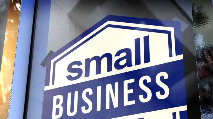 Smart Advertising Strategies for Small Businesses on a Tight Budget
